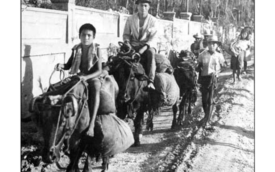 As the battle for Guam advanced from the beachheads and the concentration camps were liberat-ed, people began traveling from the camps or their jungle hideouts to safety behind the front lines. Above, boys on carabaos and on foot are part of the stream of people fleeing the fighting be-tween the Japanese and American forces. 