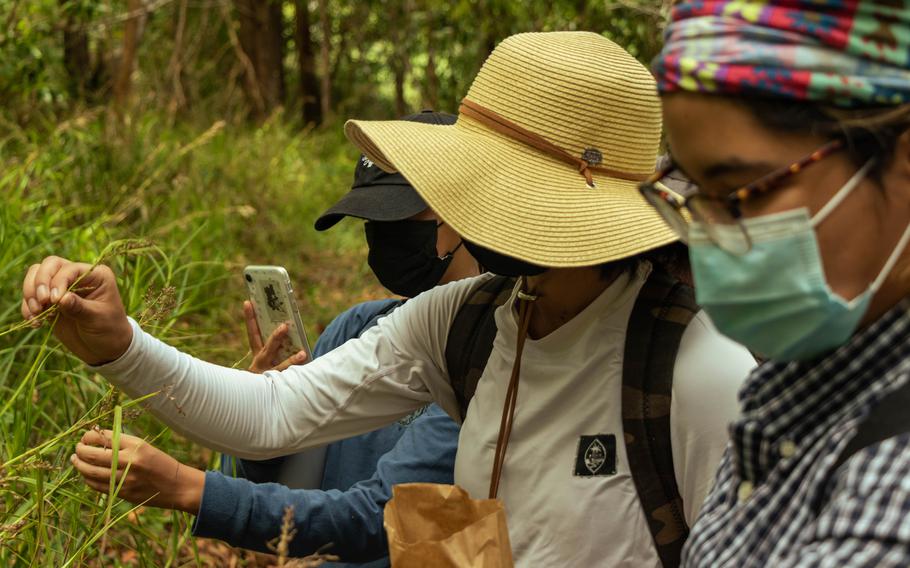 Students examine plants along a nature trail on June 15, 2021, in Guam as part of the National Science Foundation–funded INCLUDES SEAS Islands Alliance program at the University of Guam. The application period is open until April 24 for high school sophomores and juniors to join the program’s 2022 STEM High School Summer Internship program, a marine and environmental science research experience. Photos courtesy of University of Guam