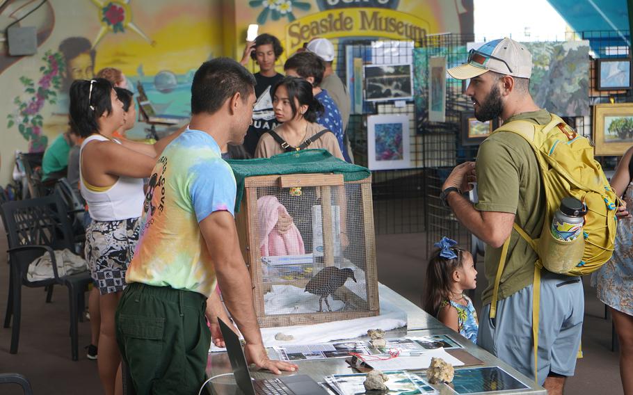 A guest at the Migratory Bird Celebration on Feb. 11, 2023, learns about Guam’s endemic ko’ko’ bird, which is now extinct in the wild, at the Guam Department of Agriculture booth. The festival will take place again this year, on Saturday, Feb. 17, at Jeff’s Pirates Cove in Ipan.  Photo courtesy of University of Guam