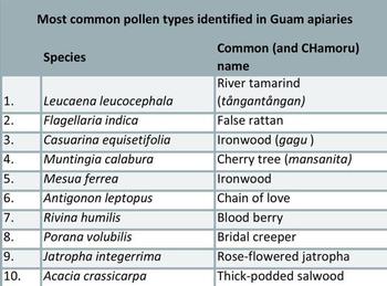 Chart of most common pollen types found in Guam apiaries