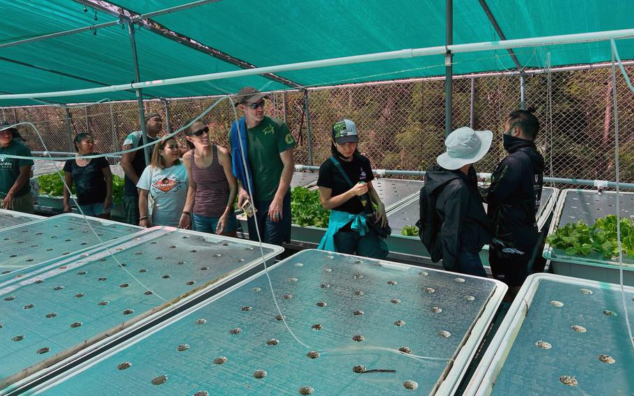 Joshua Muna, a research assistant with UOG Sea Grant, guides a Farm-to-Table Guam beginning farmers group through the new CNAS Aquapark on March 15. The facility is available for tours and class field trips and projects by appointment.