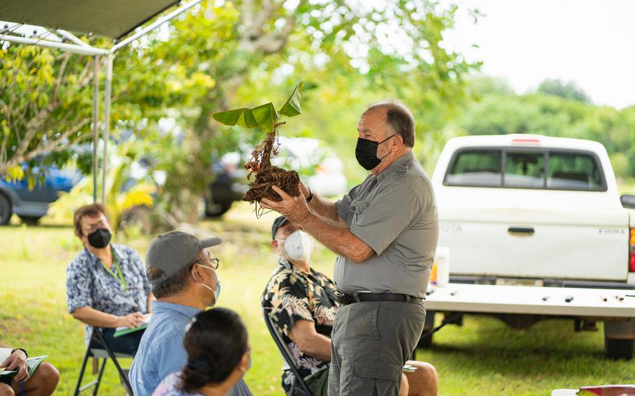 Horticulturalist Robert Bevacqua of the University of Guam teaches community members about banana propagation at a workshop on Feb. 12, 2022. Bevacqua will be leading a beginning farmers workshop on March 9 focused on growing mulberry, Surinam cherry, eggfruit, and peanut butter fruit trees and uses for their fruits.