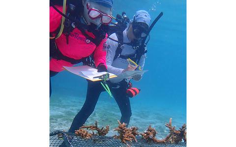 UOG Marine Lab receives designation as a nationally recognized Coral ...