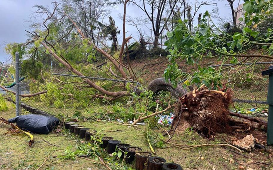 Trees were blown off and damaged fence. Photos courtesy of The Japanese School of Guam