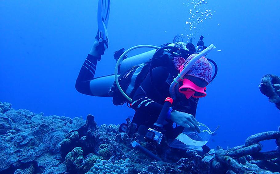 University of Guam Assistant Professor Sarah Lemer collects a coral sample from the caldera of the Maug Islands in May. She is part of a University of Guam Marine Lab research team conducting a first-time study on the genetics of corals from the Northern Mariana Islands of Sarigan, Pagan, and Maug. Photos courtesy of University of Guam