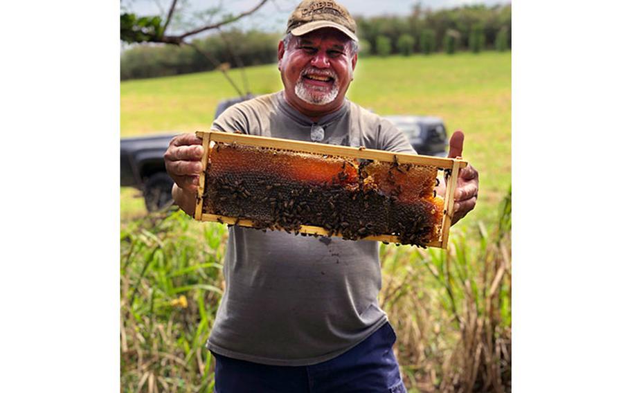 Guam beekeeper Mike Aguon shows the honeycomb from his hive. Aguon was one of 20 new beekeepers on island in 2022 under the grant-funded Beginning Farmer & Rancher Development program at the University of Guam. Photos courtesy of University of Guam