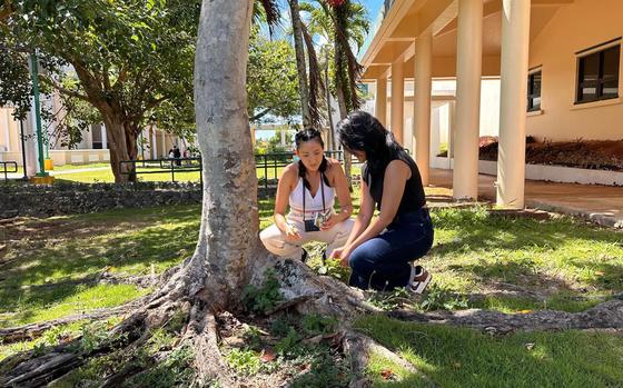 Photo Of The University of Guam is currently accepting applicants for the National Science Foundation Navigating Home Early Career Fellowship.