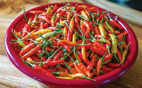 Photo Of Taste of Guam: Donne peppers bring heat to Chamorro dishes