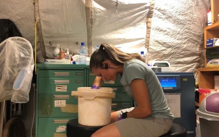 Maj. Elizabeth Foley, a U.S. Air Force entomologist and bug expert, is chief of the force health branch at the U.S. Air Force School of Aerospace Medicine, Wright-Patterson Air Force Base, Dayton, Ohio. Foley, in a makeshift lab, is looking for mosquitos and mosquito larvae in a water sample. (Photo: Air Force Maj. Elizabeth Foley)