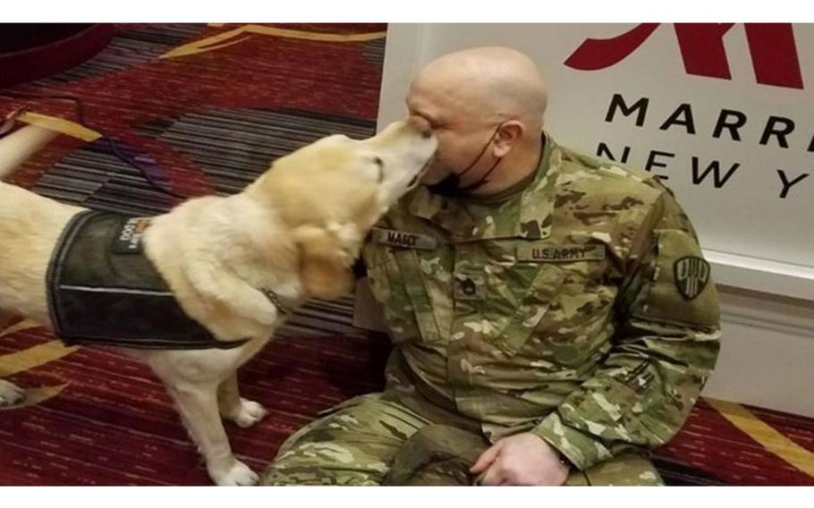 New York Army National Guard Sgt. 1st Class Richard Masci, assigned to the 369th Sustainment Brigade, is greeted by a therapy dog at his lodging site in New York, April 17, 2020. The dogs are part of a program to bolster soldier and health care worker resiliency during COVID-19 operations at the Javits New York Medical Station in Manhattan (Photo by: Courtesy photo from Gloria Gilbert Stoga, New York Army National Guard).