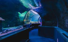 Aquarium of Guam