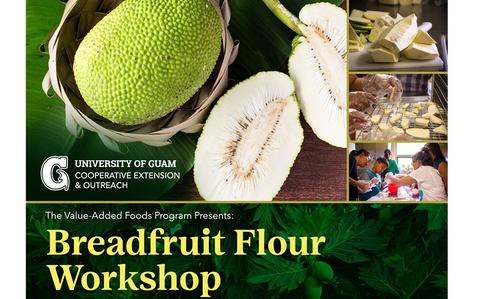 Photo Of flyer promoting the workshop. a photo of breadfruis is used.