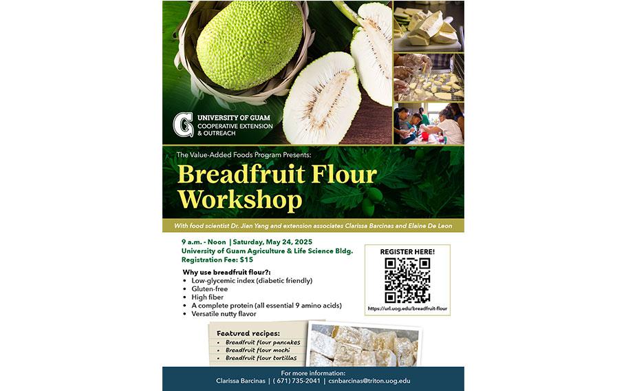 flyer promoting the workshop. a photo of breadfruis is used.