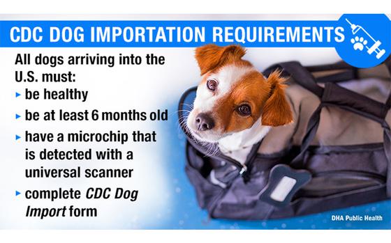 Photo Of Service members and their families returning to the United States from overseas duty assignments must comply with updated dog importation requirements effective Aug. 1, 2024. Defense Health Agency veterinary experts say preventing infected dogs from entering the United States is a public health priority. (Defense Health Agency-Public Health graphic illustration by Joyce Kopatch)