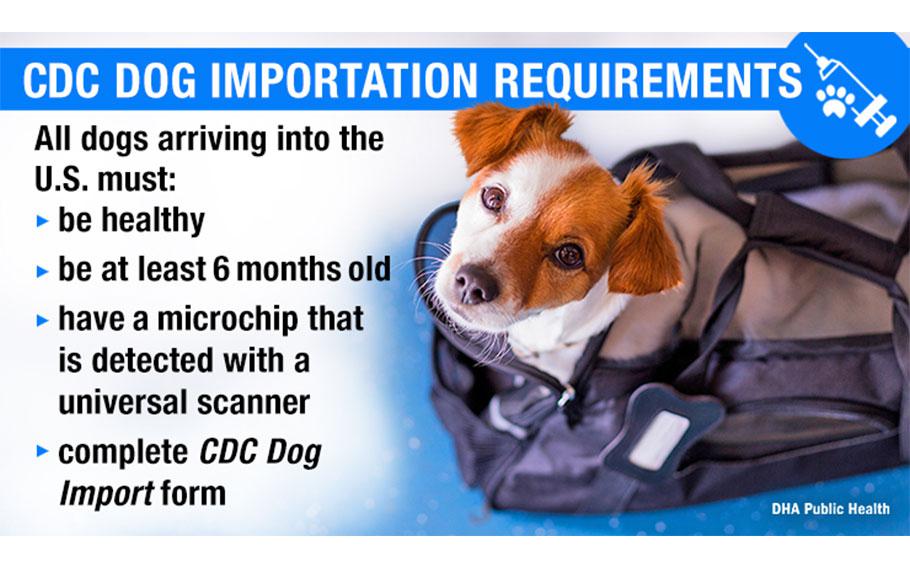 Service members and their families returning to the United States from overseas duty assignments must comply with updated dog importation requirements effective Aug. 1, 2024. Defense Health Agency veterinary experts say preventing infected dogs from entering the United States is a public health priority. (Defense Health Agency-Public Health graphic illustration by Joyce Kopatch)