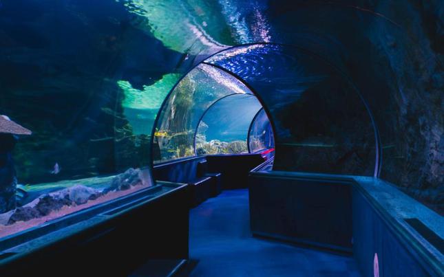 Aquarium of Guam