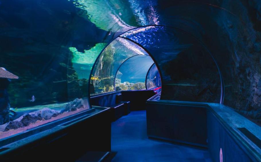 Aquarium of Guam