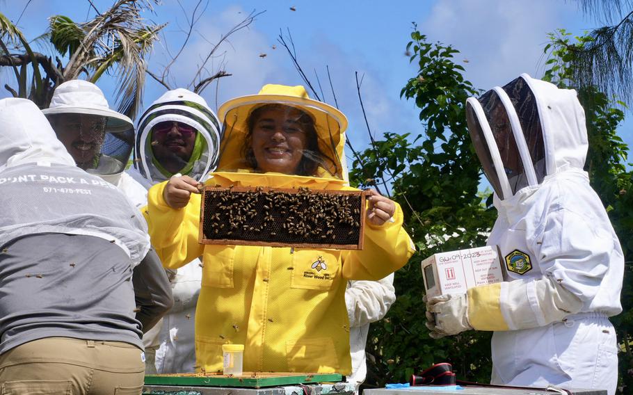 people are taking care of bees.