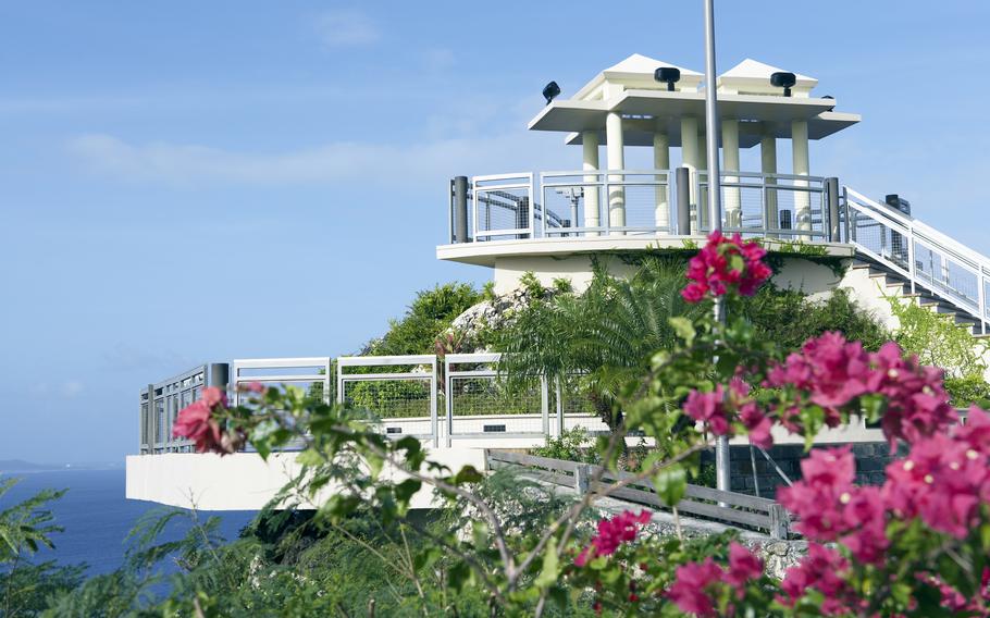 flowers can be seen at Two Lovers’ Point.