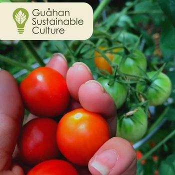 Guåhan Sustainable Culture