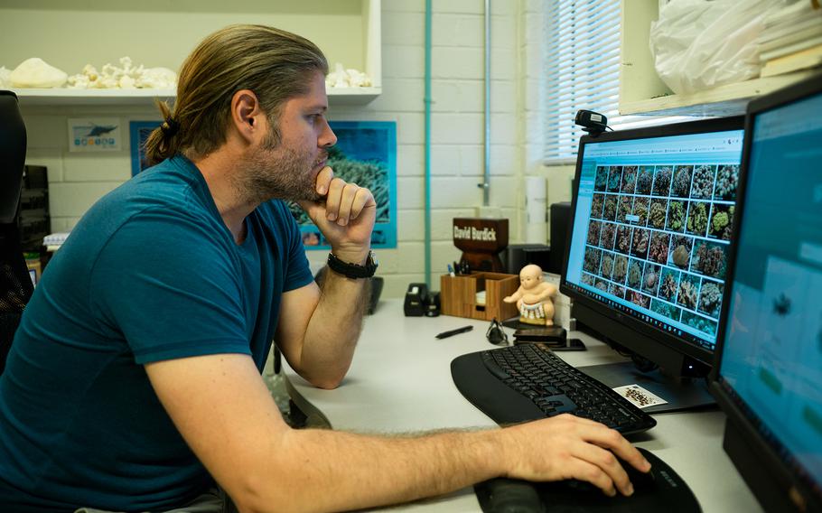 David Burdick, a research associate at the University of Guam Marine Laboratory, looks through the UOG Biorepository’s online catalog of marine species. Burdick has received an award from the U.S. Coral Reef Task Force for launching GuamReefLife.com, a photo archive and species identification site that has become a go-to reference for researchers, educators, and taxonomists.