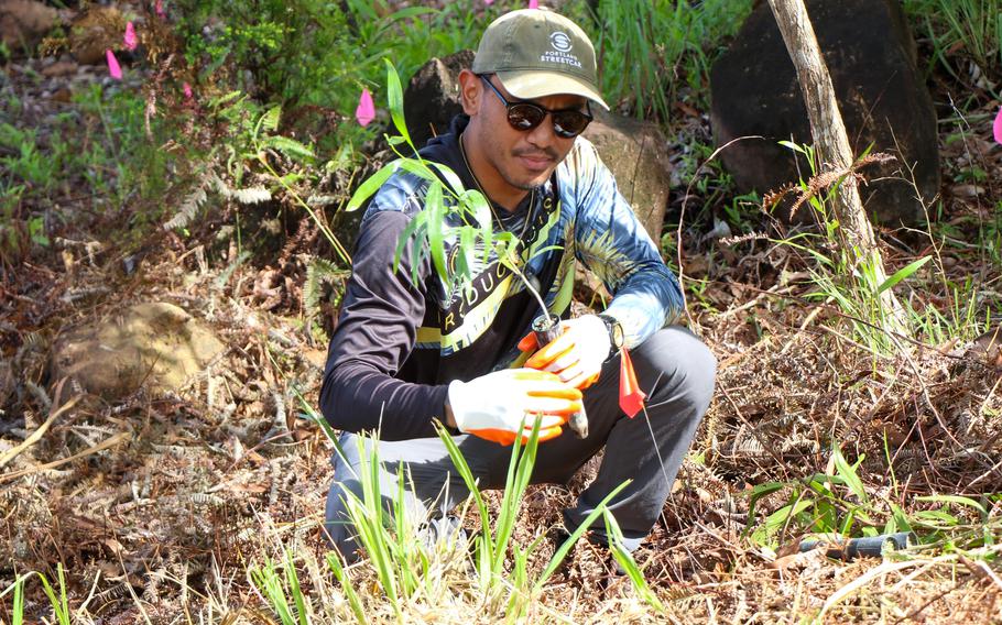 Community volunteer Josh Laurente was amongst those who participated in the GROW in Malojloj event. Nearly 1,600 trees were planted during the event in support of watershed restoration efforts that aim to reduce erosion and coral suffocation. The University of Guam Center for Island Sustainability and Sea Grant’s GROW initiative will be having another planting event on October 5, 2024 at 8am that is open to the public.  