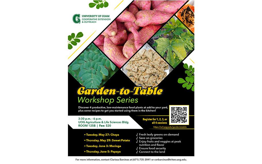 flyer promoting the workshop.