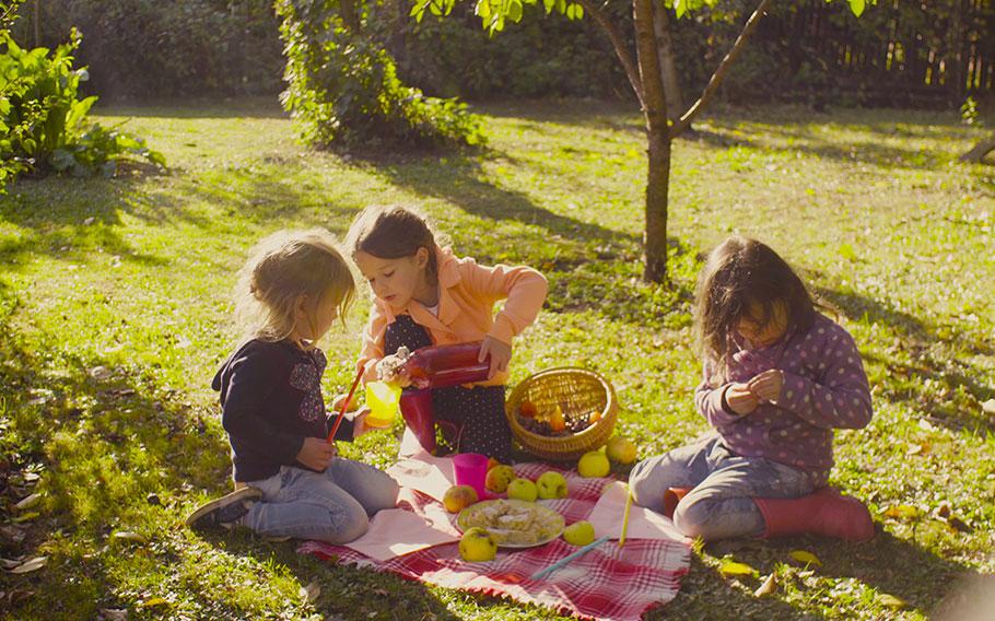Kids enjoying picnic.