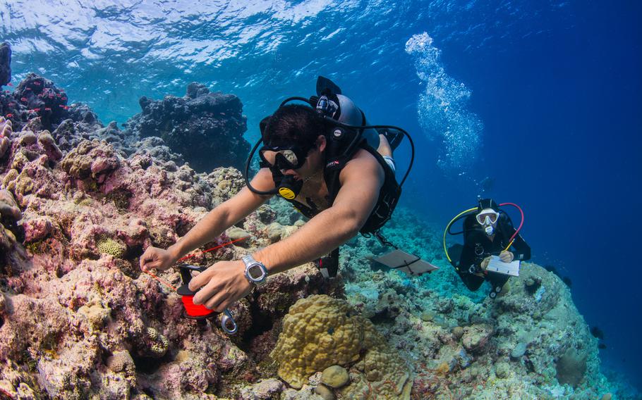 David Benavente conducts coral and fish surveys in July 2016 on the outer reefs of Chuuk Lagoon. The surveys were part of Dr. Peter Houk’s nearly two decades long effort to establish fisheries and coral reef data throughout Micronesia. Houk was recently awarded for his work by the U.S. Coral Reef Task Force.