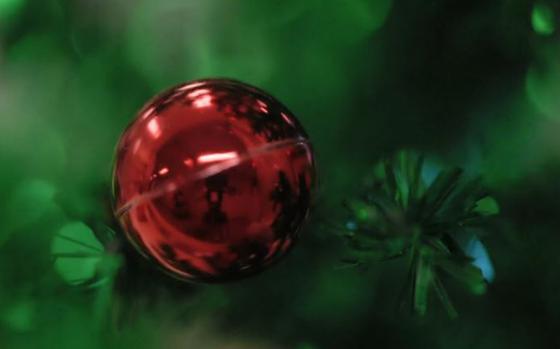 a full close-up photo of Christmas tree.