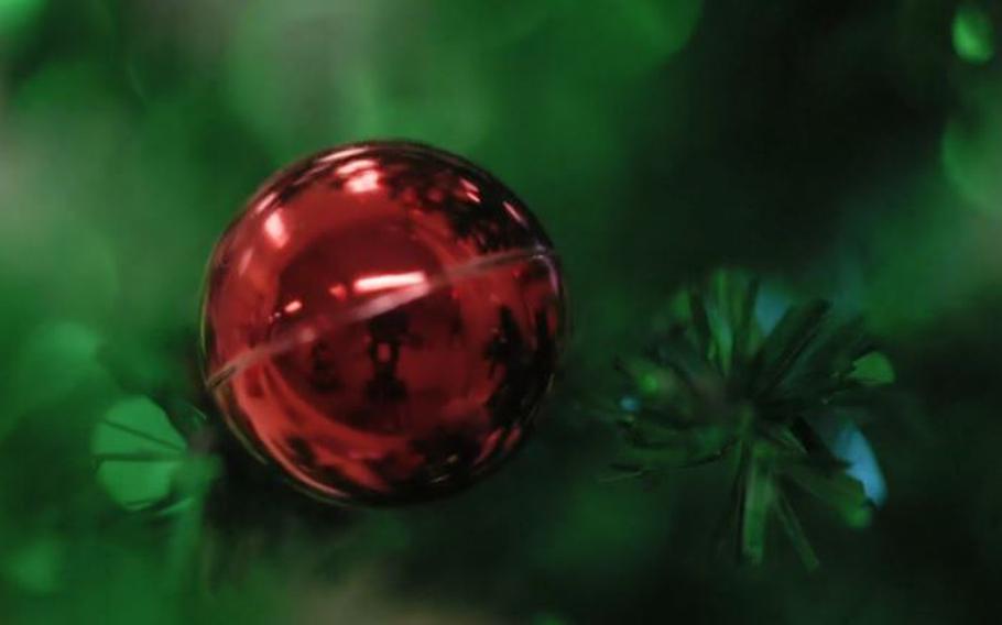 a full close-up photo of Christmas tree.