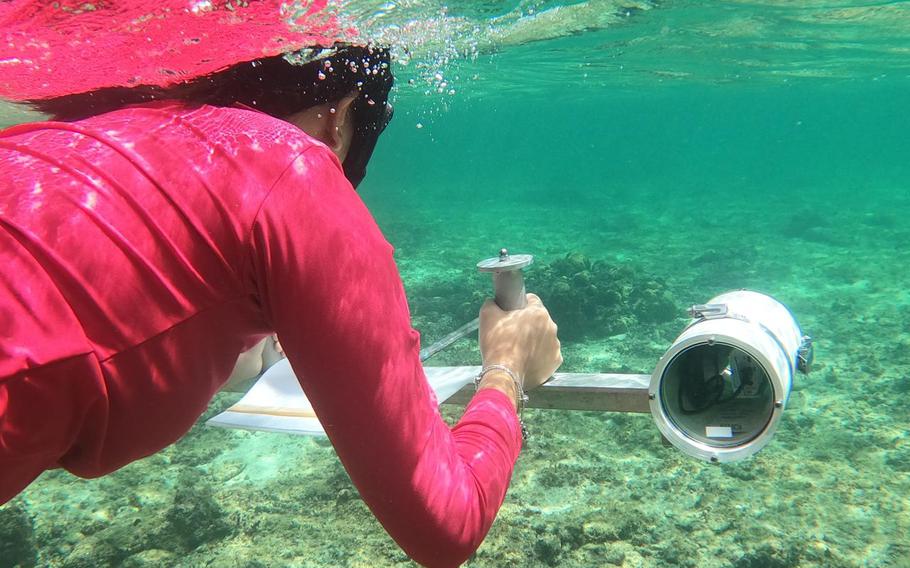 NSF INCLUDES SEAS Islands Alliance student researcher Ale’a Duenas does underwater surveying as a part of her project with the program.