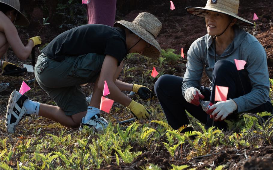 Volunteers participate in planting events at the Ugum Watershed with the UOG CIS & Sea Grant team.  The brand-new Guam Green Growth GROW Corps is currently recruiting for its inaugural cohort.   This six-month workforce development program builds off the success of the original G3 Conservation Corps. 