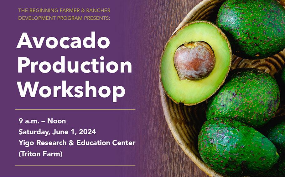 UOG Avocado Production Workshop Flyer