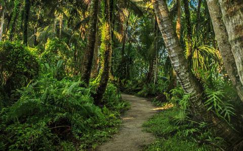 Photo Of The Trails of Ritidian