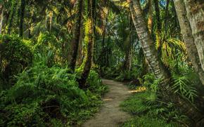 The Trails of Ritidian