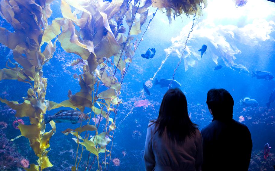 Tokyo Sea Life Park
