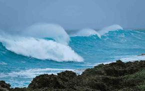 wave