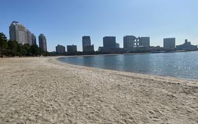 The beach in Odaiba Beach Park.