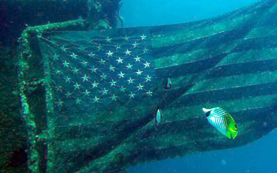 an American national flag and fish in the sea