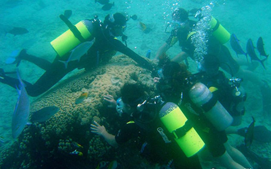 A dive instructor teaching his students to touch and hold onto a coral colony.