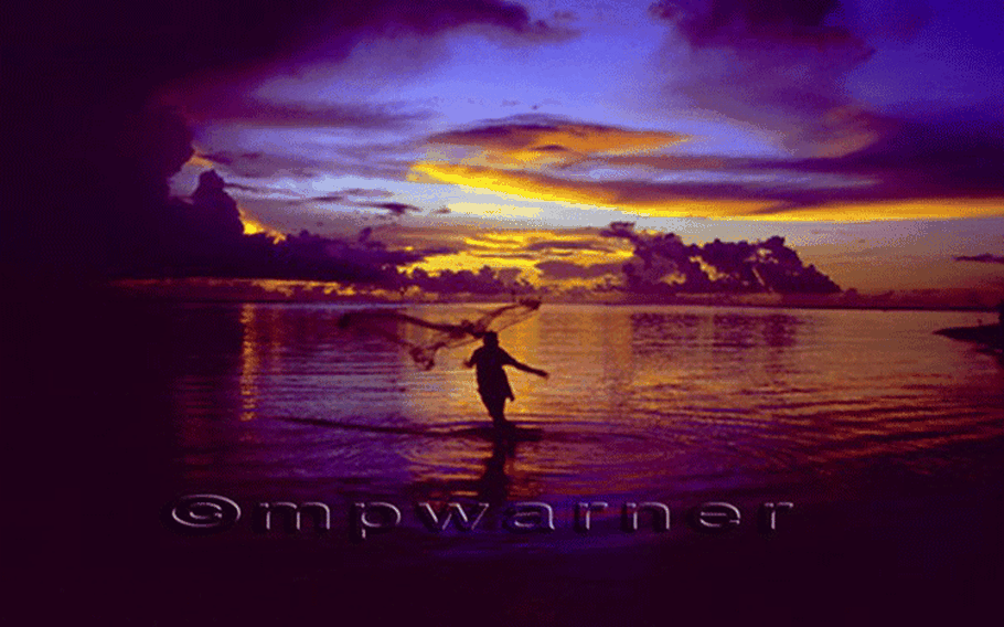 Through net fisherman Photo by MP Warner