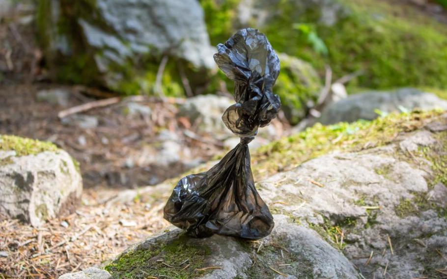 dog waste